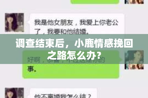 调查结束后，小鹿情感挽回之路怎么办？