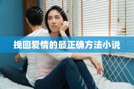 挽回爱情的最正确方法小说