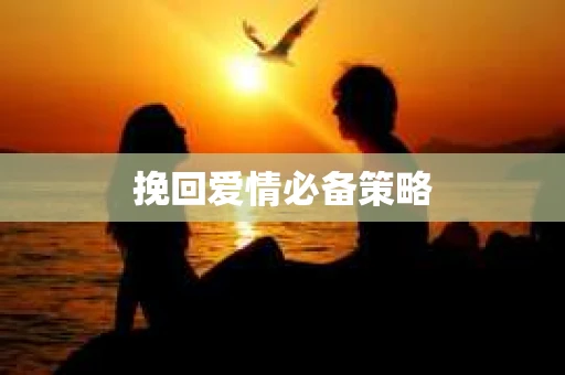 挽回爱情必备策略