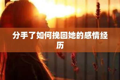 分手了如何挽回她的感情经历