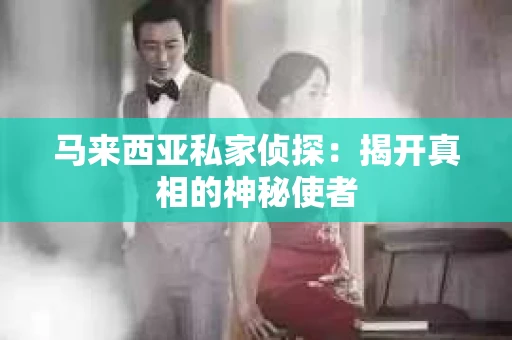 马来西亚私家侦探：揭开真相的神秘使者