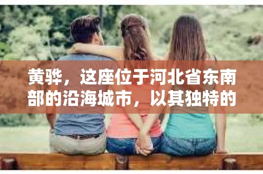 黄骅，这座位于河北省东南部的沿海城市，以其独特的地理位置和丰富的历史文化而闻名。然而，在这座城市中，还有一群人，他们以另一种方式默默守护着社会的公平与正义——私家侦探。今天，我们就来聊聊黄骅的私家侦探，看看他们是如何在这个城市中发挥作用的。