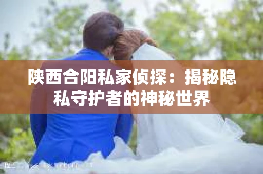 陕西合阳私家侦探：揭秘隐私守护者的神秘世界