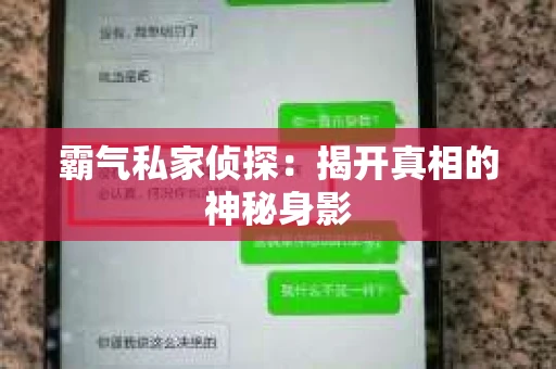 霸气私家侦探：揭开真相的神秘身影