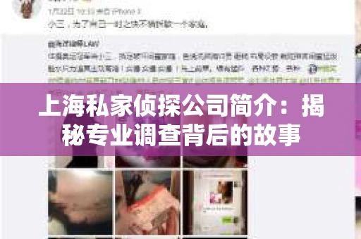 上海私家侦探公司简介：揭秘专业调查背后的故事