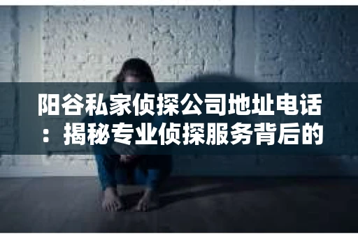 阳谷私家侦探公司地址电话：揭秘专业侦探服务背后的故事