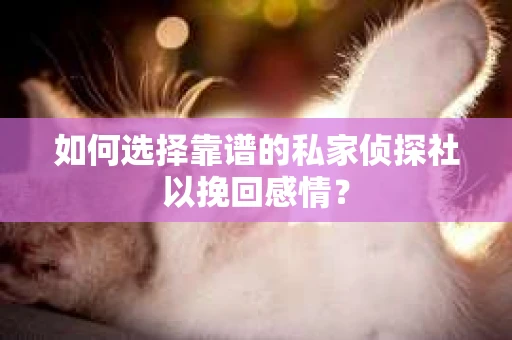 如何选择靠谱的私家侦探社以挽回感情? 如何选择靠谱的私家侦探社以挽回感情?