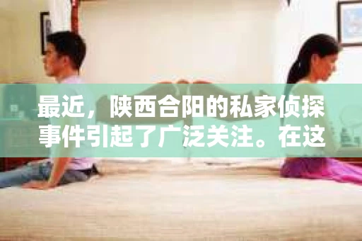 最近，陕西合阳的私家侦探事件引起了广泛关注。在这个信息爆炸的时代，隐私保护显得尤为重要。今天，我们就来聊聊这个事件，看看它背后的一些故事。