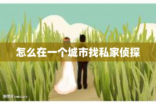 怎么在一个城市找私家侦探