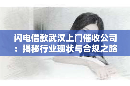 闪电借款武汉上门催收公司：揭秘行业现状与合规之路