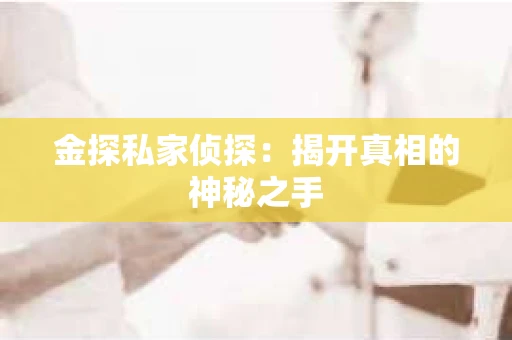 金探私家侦探：揭开真相的神秘之手