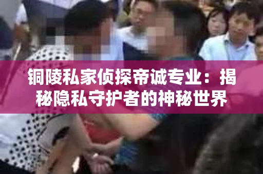 铜陵私家侦探帝诚专业：揭秘隐私守护者的神秘世界