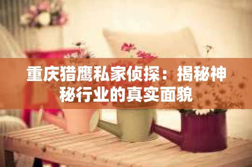 重庆猎鹰私家侦探：揭秘神秘行业的真实面貌