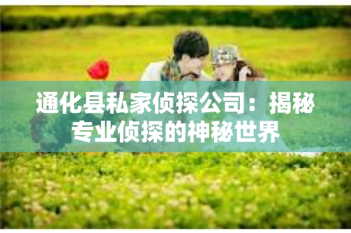 通化县私家侦探公司：揭秘专业侦探的神秘世界