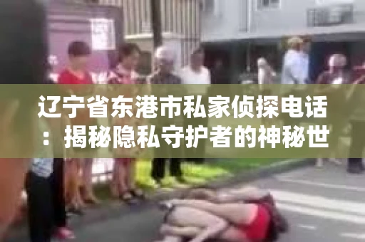 辽宁省东港市私家侦探电话：揭秘隐私守护者的神秘世界
