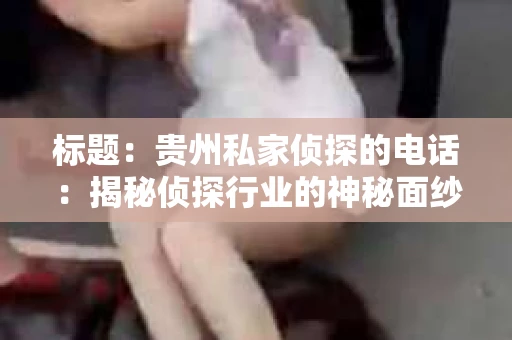标题：贵州私家侦探的电话：揭秘侦探行业的神秘面纱