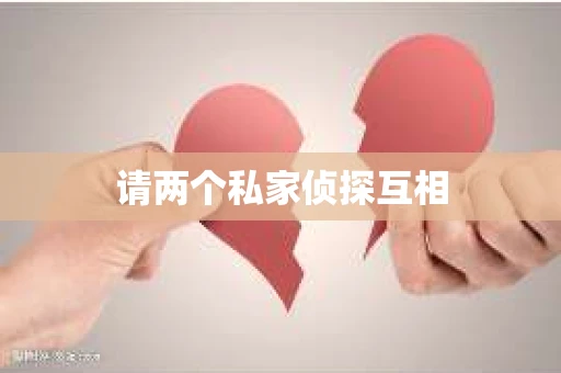请两个私家侦探互相