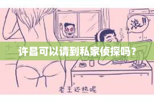 许昌可以请到私家侦探吗？