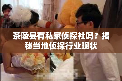 茶陵县有私家侦探社吗？揭秘当地侦探行业现状