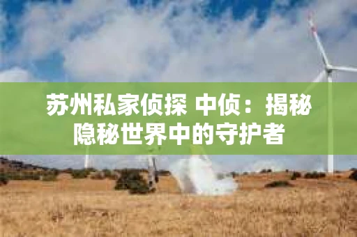 苏州私家侦探 中侦：揭秘隐秘世界中的守护者