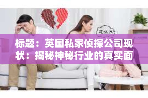 标题：英国私家侦探公司现状：揭秘神秘行业的真实面貌