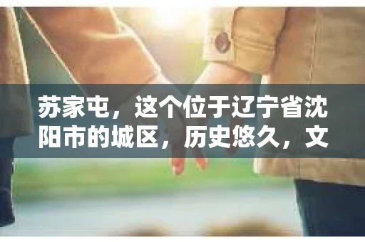 苏家屯，这个位于辽宁省沈阳市的城区，历史悠久，文化底蕴深厚。近年来，随着社会的发展，人们对于私家侦探的需求也逐渐增加。那么，苏家屯有私家侦探吗？今天，我们就来聊聊这个话题。