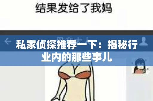 私家侦探推荐一下：揭秘行业内的那些事儿