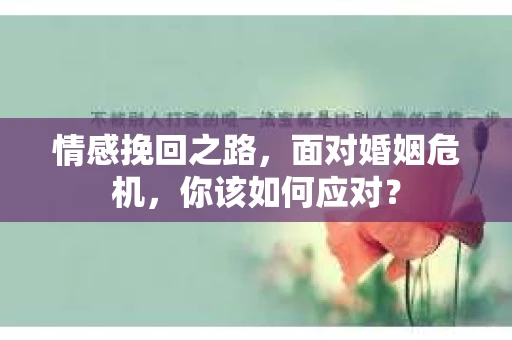 情感挽回之路，面对婚姻危机，你该如何应对？