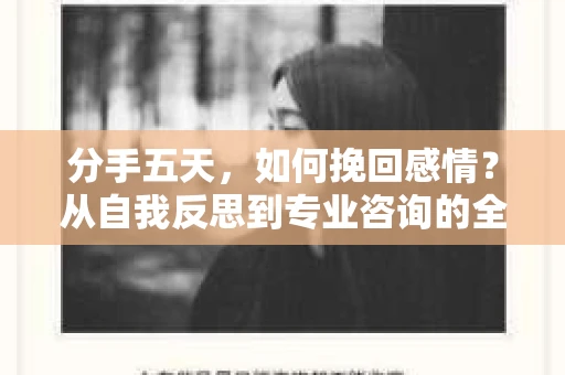 分手五天，如何挽回感情？从自我反思到专业咨询的全面解决方案