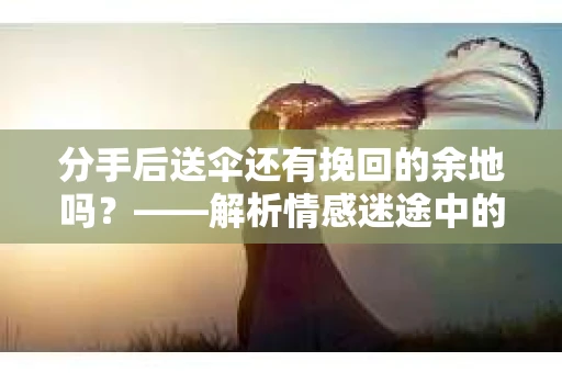 分手后送伞还有挽回的余地吗？——解析情感迷途中的决策