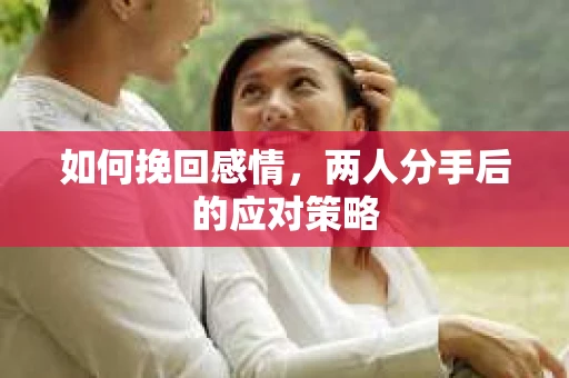 如何挽回感情,两人分手后的应对策略 如何挽回感情,两人分手后的应对策略