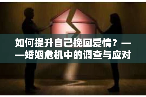 如何提升自己挽回爱情？——婚姻危机中的调查与应对策略