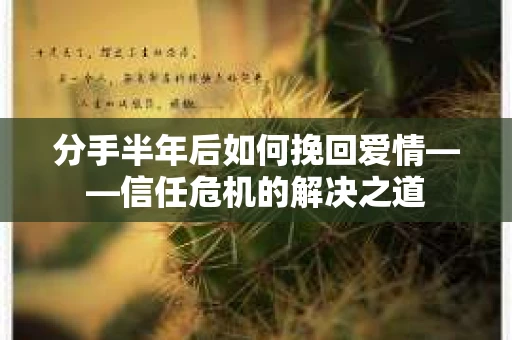 分手半年后如何挽回爱情——信任危机的解决之道
