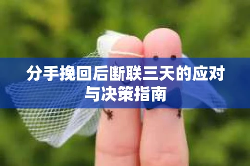 分手挽回后断联三天的应对与决策指南